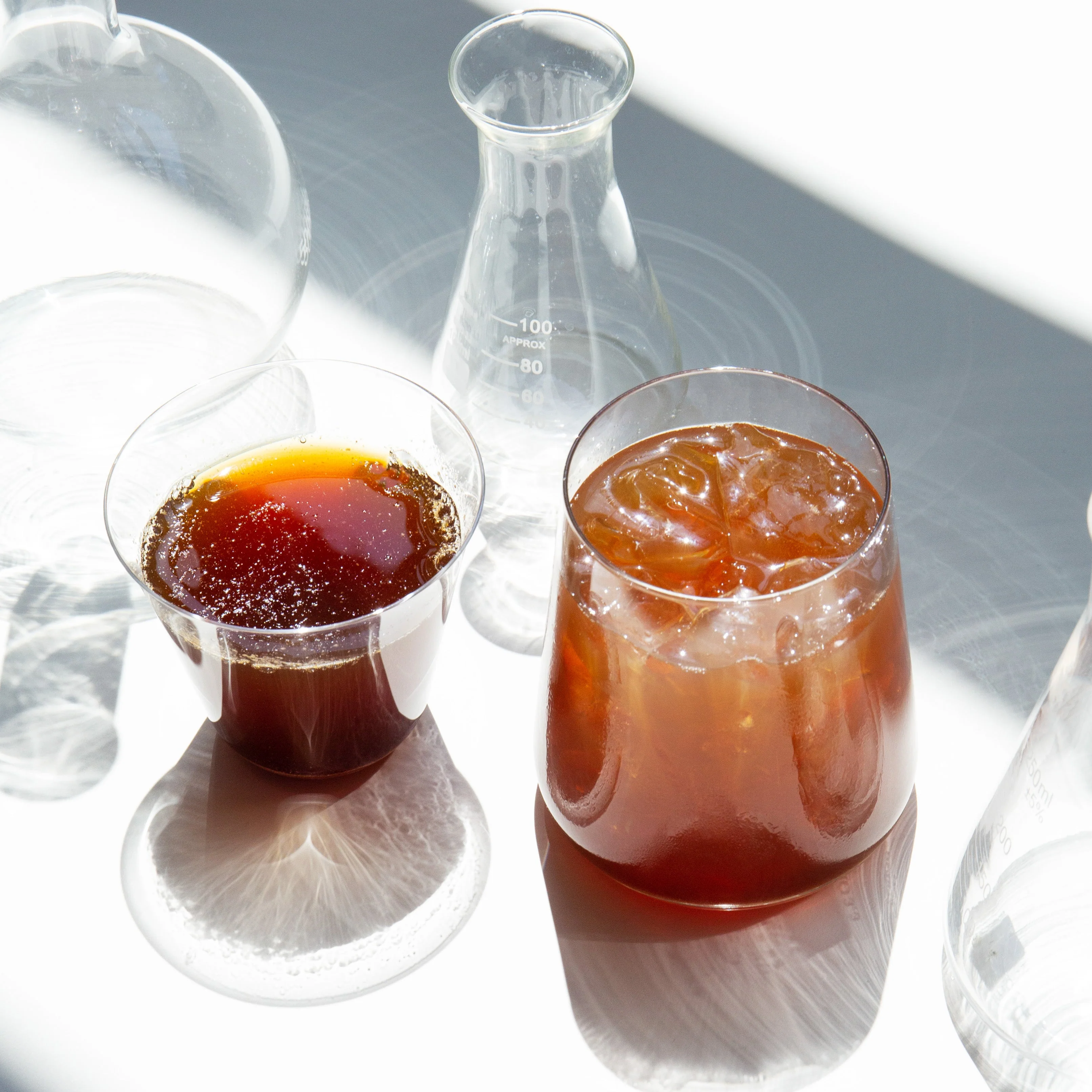 Bergamot Fasting Black Tea - Image 3